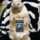 Image for article titled Kotaku 'Shop Contest: Better Than A Bunny Smartphone Case: The Winners!